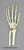 Hand Joint, Flexible (premium flexible hand, partial radius and ulna) KO-335
