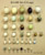 North American Bird Egg Set