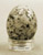 Brown Headed Cowbird Egg