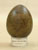 Peregrine Falcon Egg