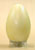 Canada Goose Egg