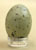 Blue Jay Egg