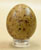 American Kestrel Egg