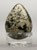 Killdeer Egg