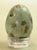Northern Mockingbird Egg