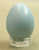 American Robin Egg