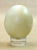 Great Horned Owl Egg