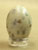 Whip-poor-will Egg