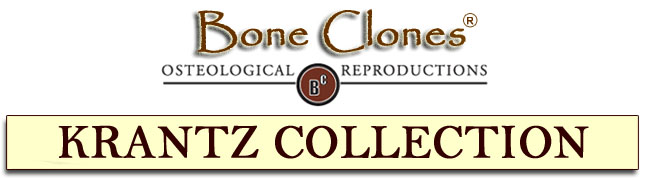 Bone Clones&reg; Catalog of the Grover Krantz Collection