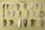 Set of 21 Neanderthal Tools