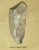 Knife/Scraper