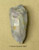 Core