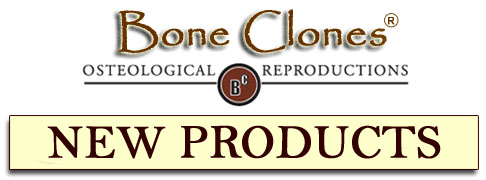 Bone Clones&reg; Catalog of New Products