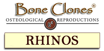 Bone Clones&reg; Rhino Catalog