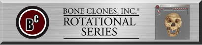View Our New Rotational Series, Click Here
