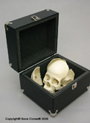 Premium Carrying Case for Human Skull S-91
