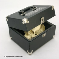 Premium Carrying Case for Human Skull S-91