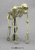 Articulated Chimpanzee Skeleton