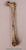 Homo ergaster Femur