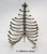 Tarpit Sabercat Thorax Assembly SC-018-T-TX