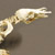 Articulated Duck-Billed Platypus Skeleton