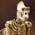 Articulated Gorilla Skeleton