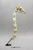 Giraffe Skull and Neck Vertebrae with Stand