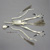 Disarticulated Harpy Eagle Skeleton