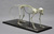 Vervet Monkey Articulated Skeleton SC-069-A