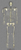 Human Male Asian Disarticulated Skeleton