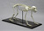 Rhesus Macaque Articulated Skeleton SC-137-A