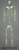 Rhesus Macaque Disarticulated Skeleton SC-137-D