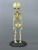 Human Fetal Skeleton Replica