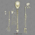 Disarticulated Modern 5-year-old Human Child Half Skeleton