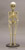 Articulated Modern 5-Year-Old Human Child Skeleton
