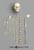 14 to 16-month-old Human Child Half Skeleton Disarticulated