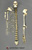Disarticulated Adult Human Female Half Skeleton