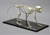Weeping Capuchin Monkey Articulated Skeleton SC-263-A