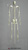 Black Spider Monkey Disarticulated Skeleton SC-265-D