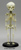 Articulated Human Fetal Skeleton Full Term 40 Weeks SCM-186-a