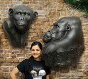 Non-Human Primate Sculpture