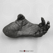 Orangutan Foot, male, left (Life Cast)