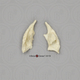 Human Nasal Concha (2) left and right