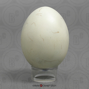 Horned Puffin Egg