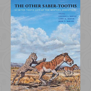 The Other Saber-Tooths: Scimitar-Tooth Cats of the Western Hemisphere