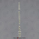 Mandrill Baboon Vertebral Column-all 24 Vertebrae, Disarticulated
