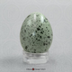 Western Scrub-Jay Egg