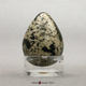 Killdeer Egg