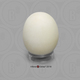 Bald Eagle Egg