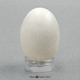 Mourning Dove Egg
